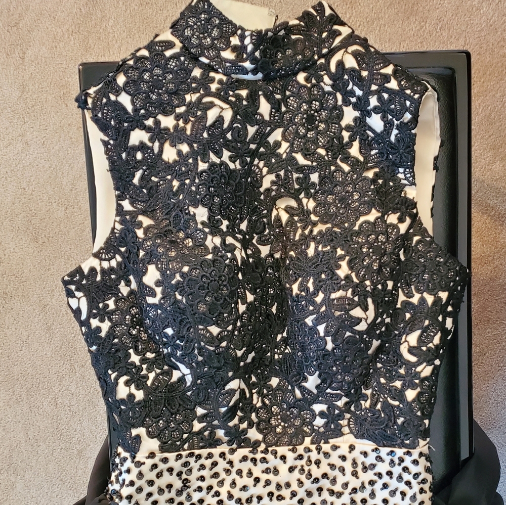 Custom Taylored Party Dress - Picture 5 of 8